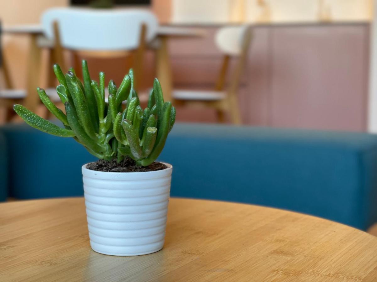 Floral Inn بريشتاين المظهر الخارجي الصورة